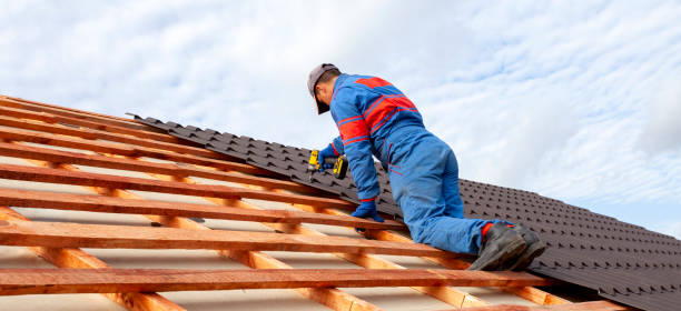 Best Roof Ventilation Installation  in USA